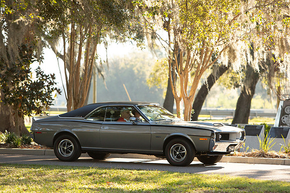 VV2022-239.jpg